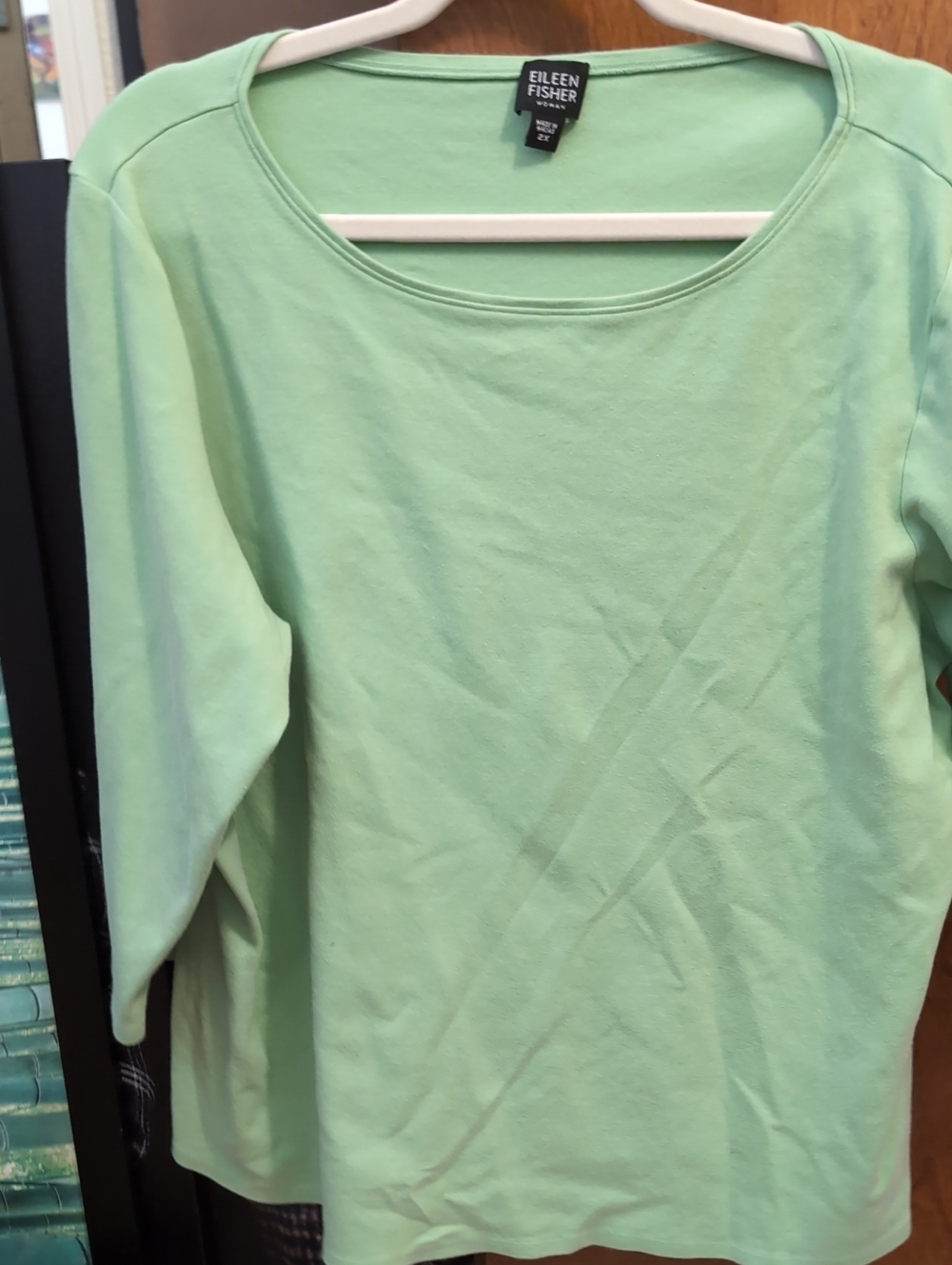 Eileen Fisher Light Mint Green Scoop Neck Long Sleeve Top